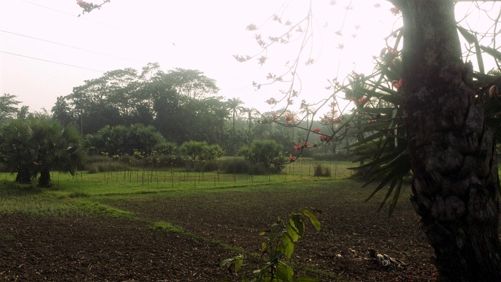 a nice view