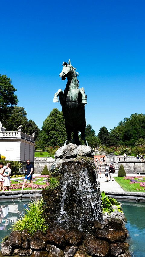 horse