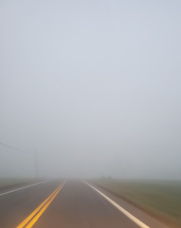into the mist