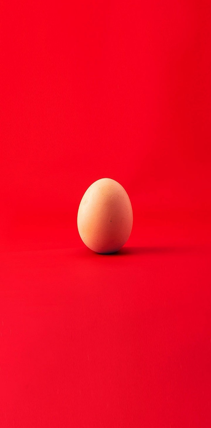 Egg