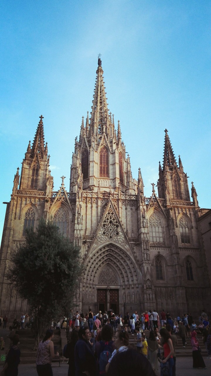 Catedral