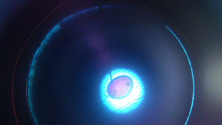through a microscope(cell)