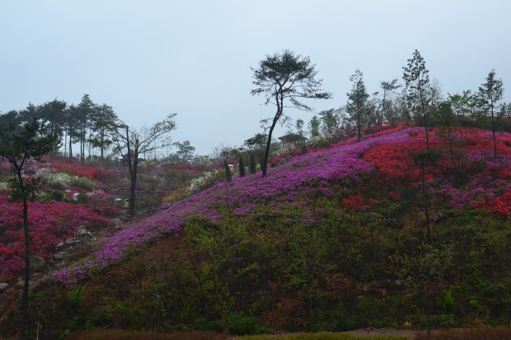 순천이미지