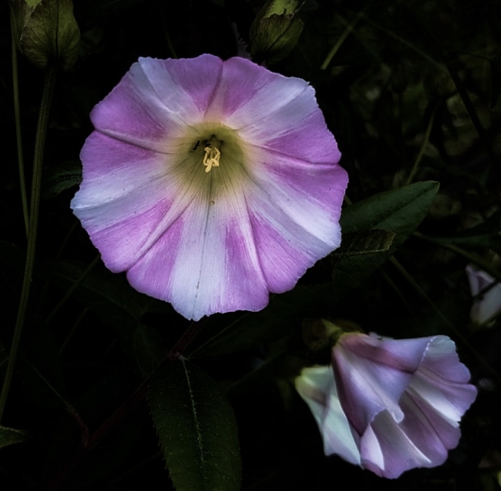 .