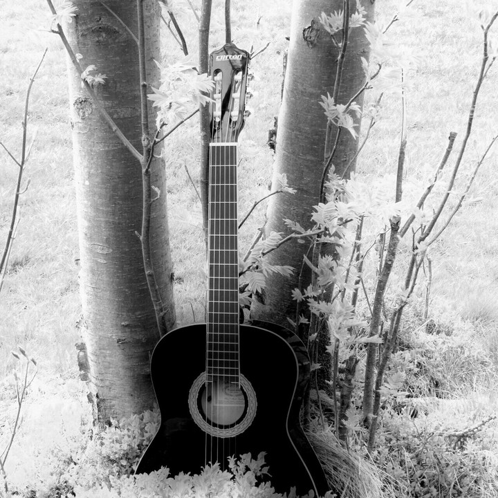 guitar