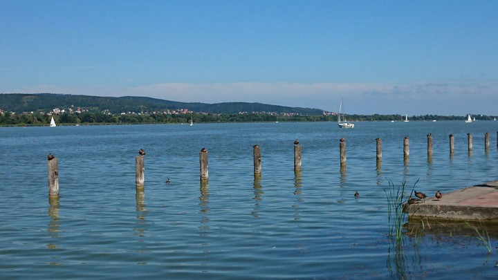 Balaton