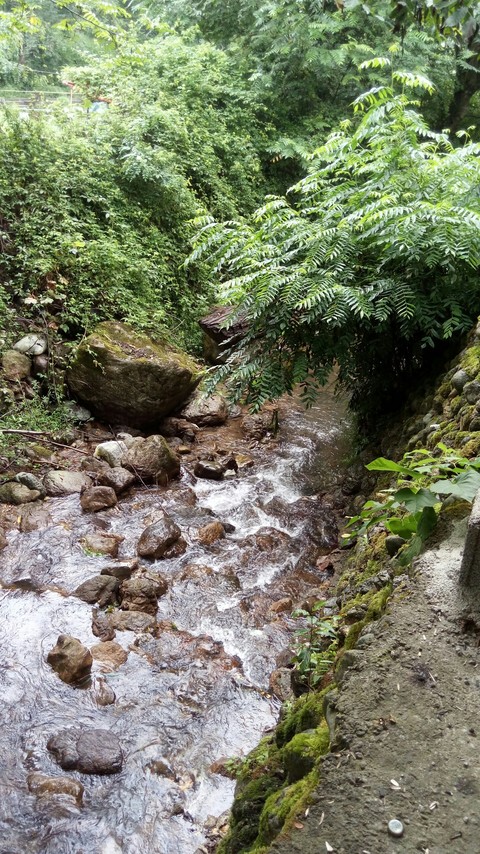 wilderness, stream háttérképek