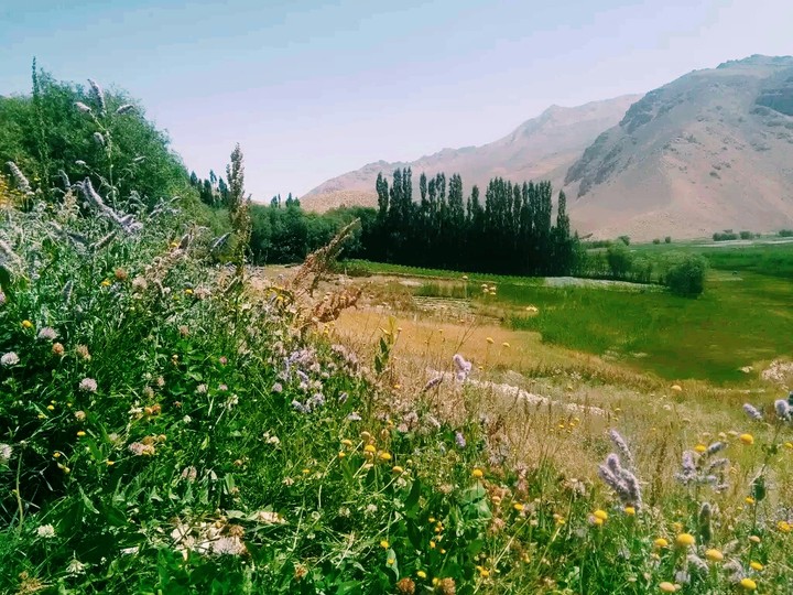 beautiful landscapes