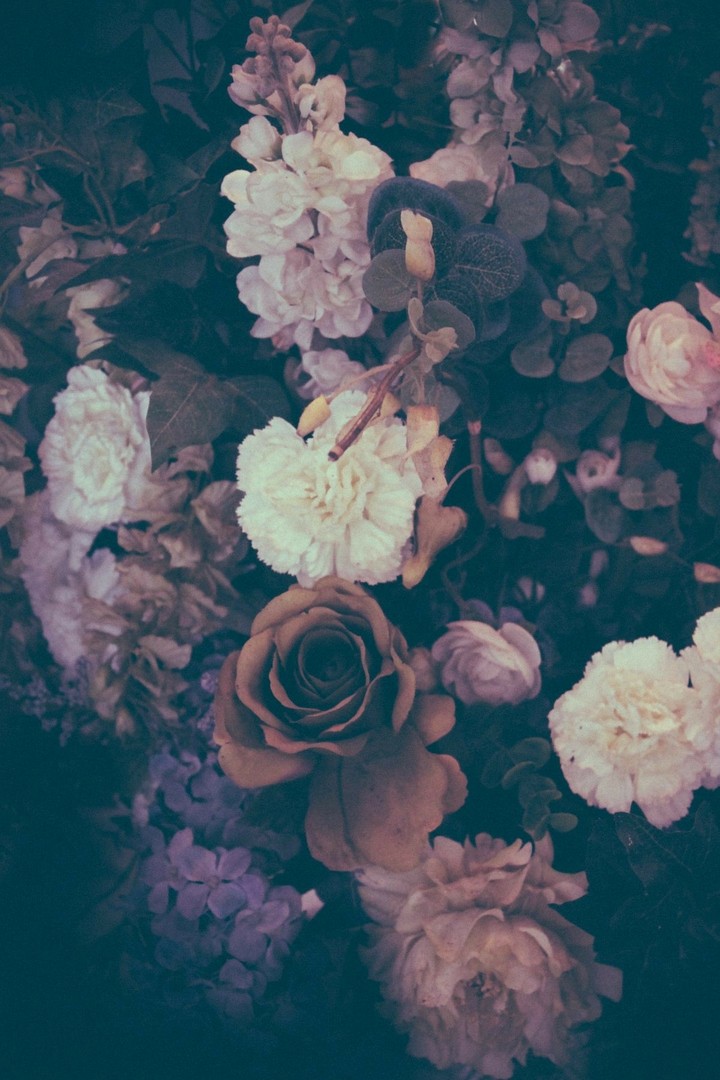 vintege flor