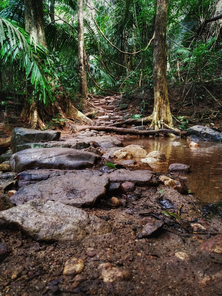 The path