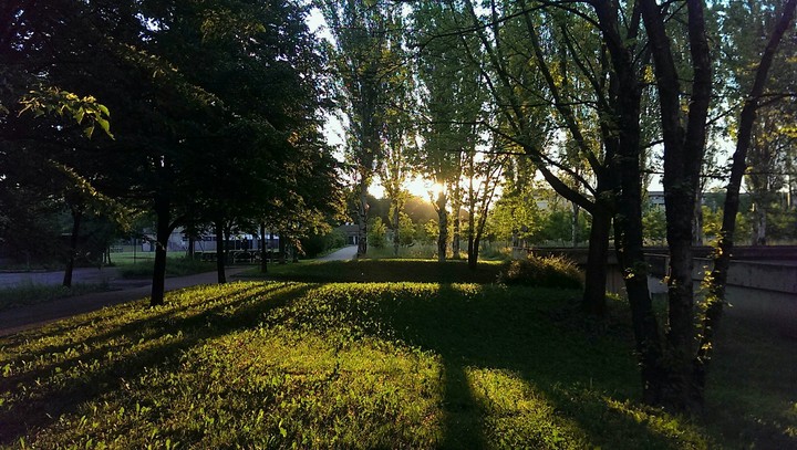 My home