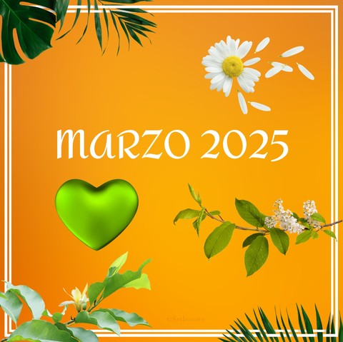 poster, plants wallpapers