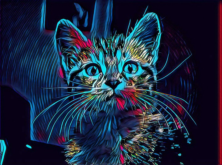 Cat Art