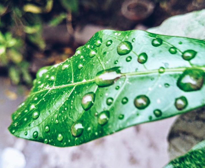 First rainfall of the year.