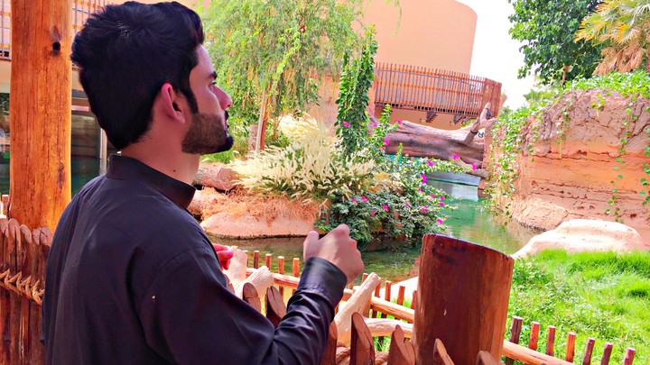 al ain zoo