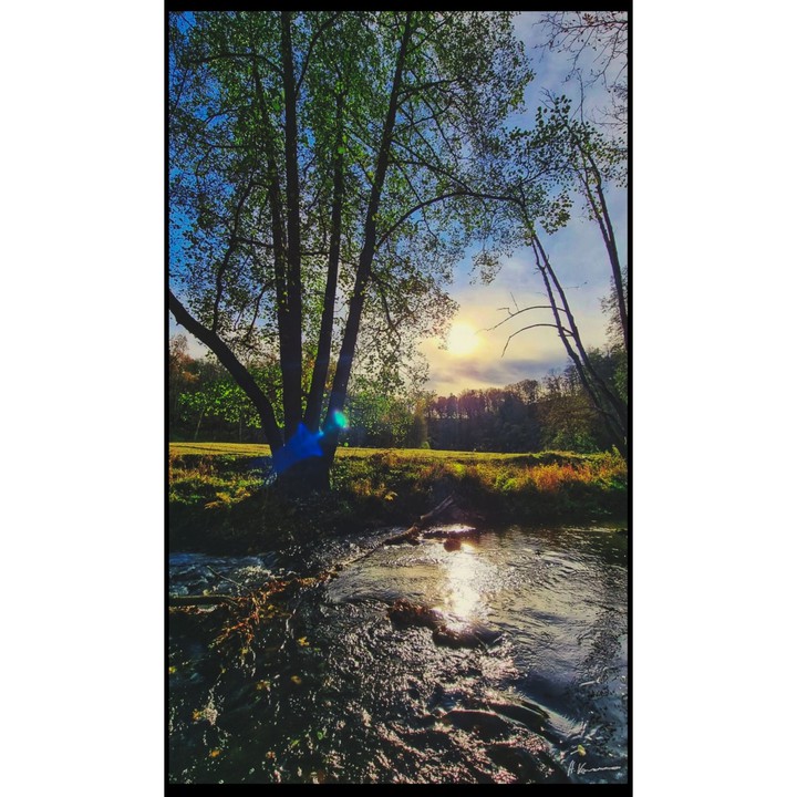 Die Natur, Quell der Kraft und Ruhe