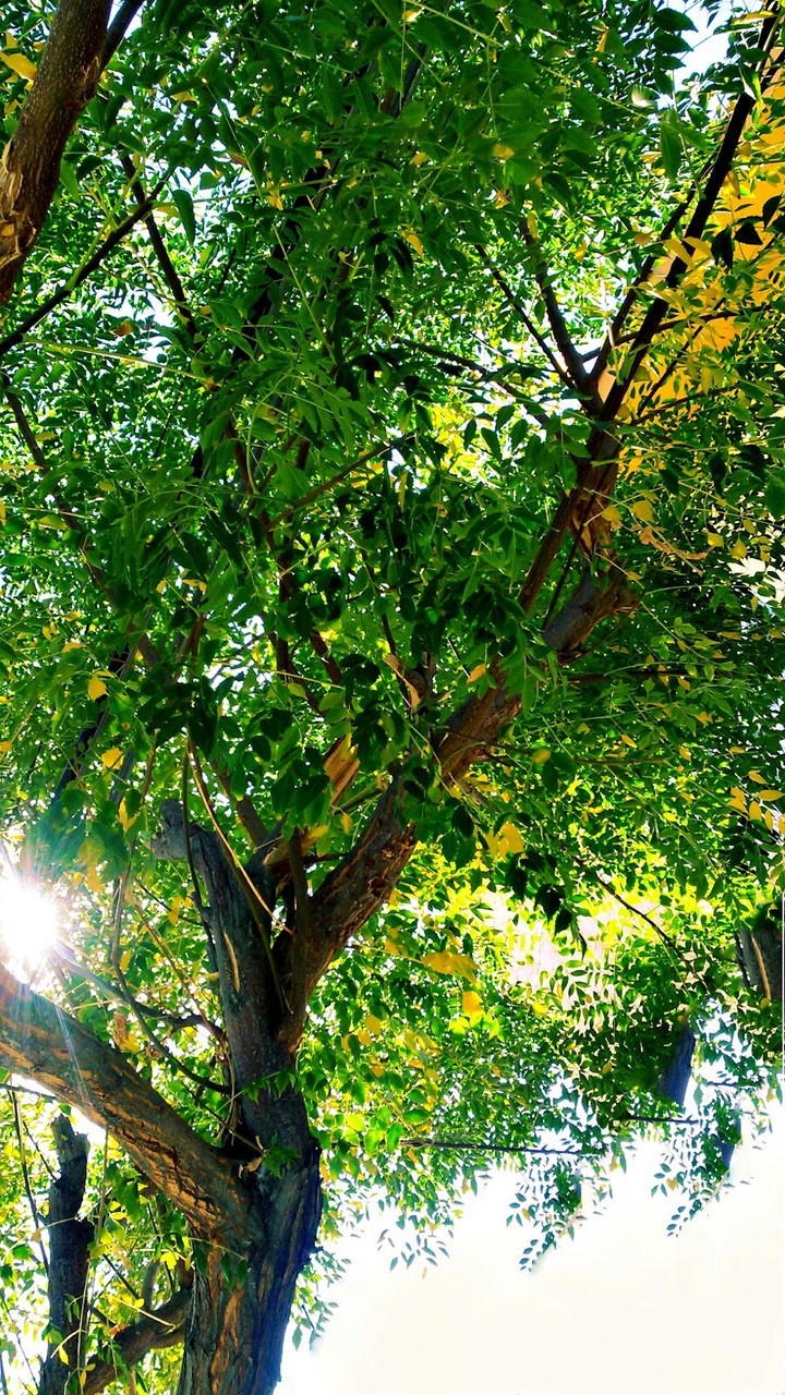 naturaleza