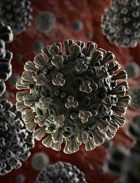 coronavirus