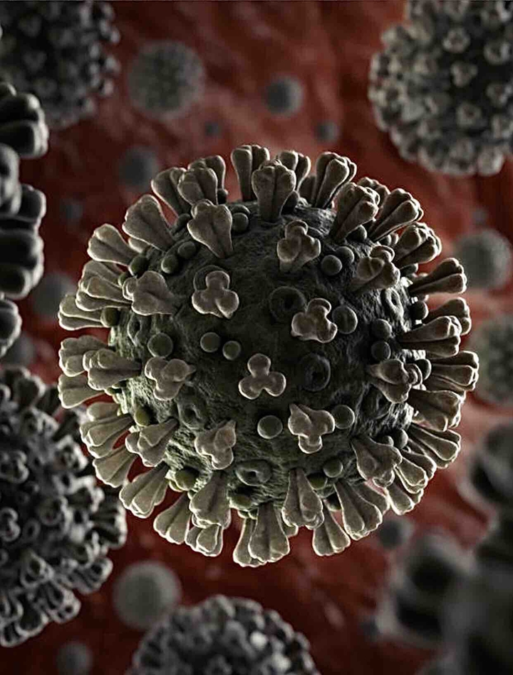 coronavirus