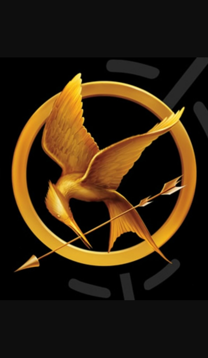 Mockingjay#2
