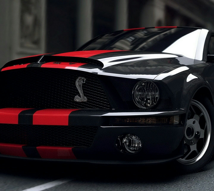 shelby