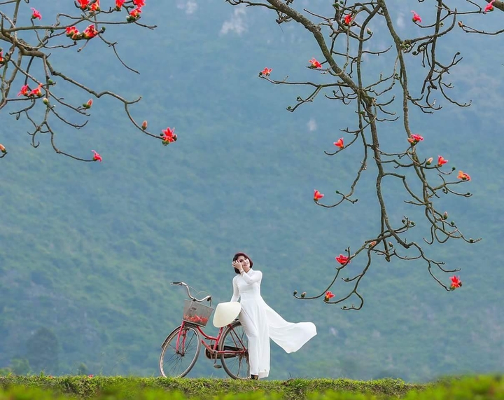 duyên dáng việt Nam