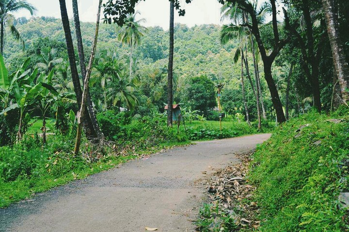 Nature
