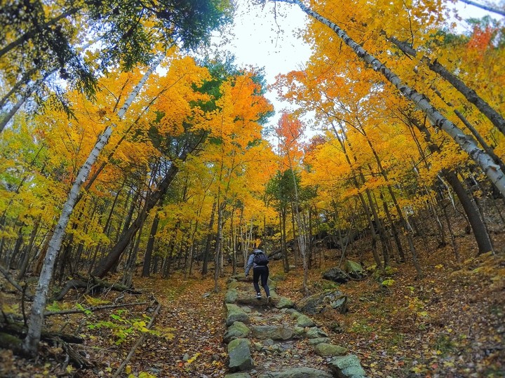 Hiking in Mount Orford