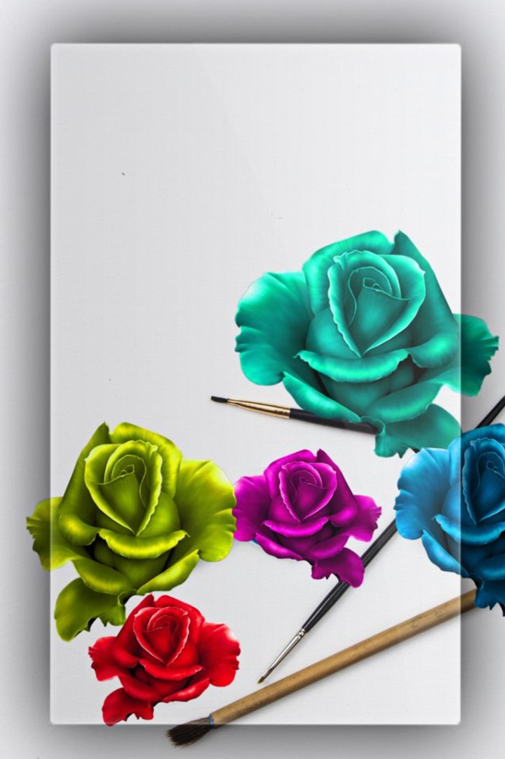 Rose