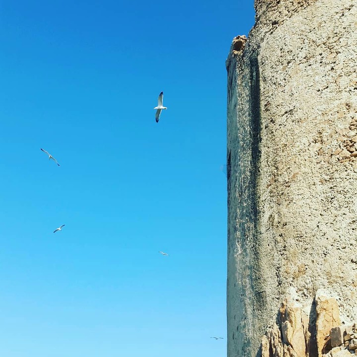 freedom