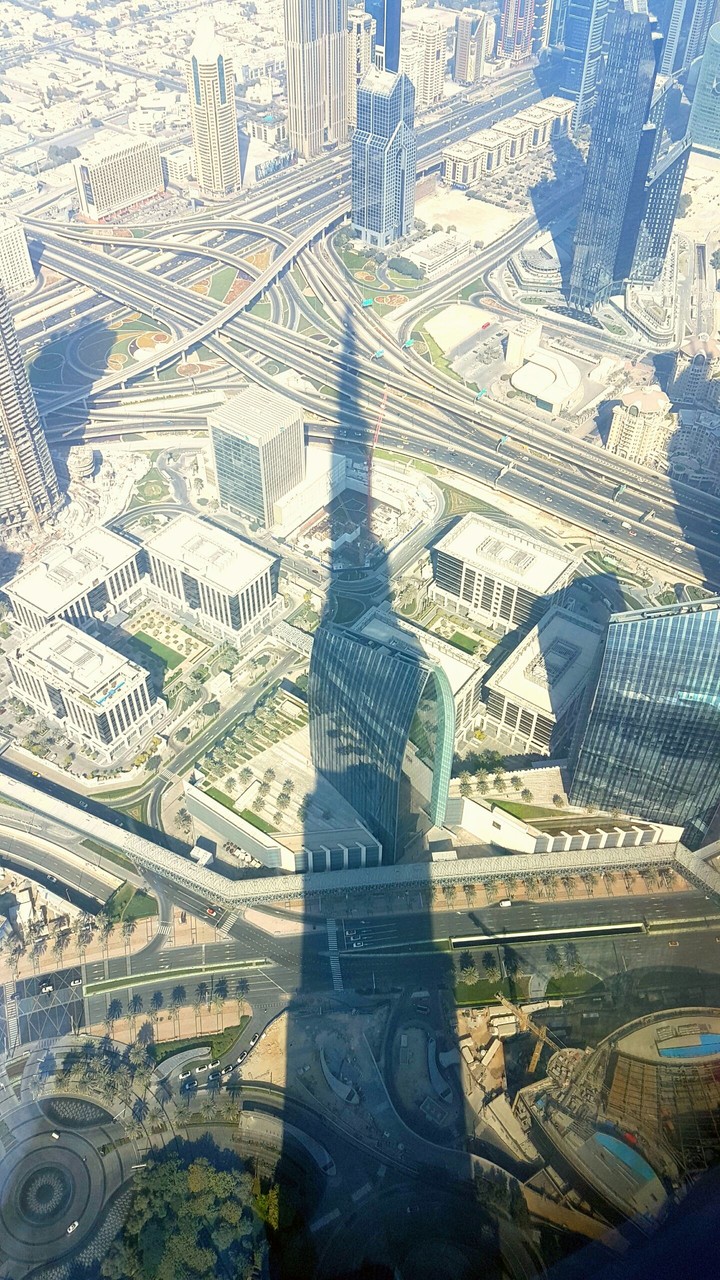 Tallest Shadow