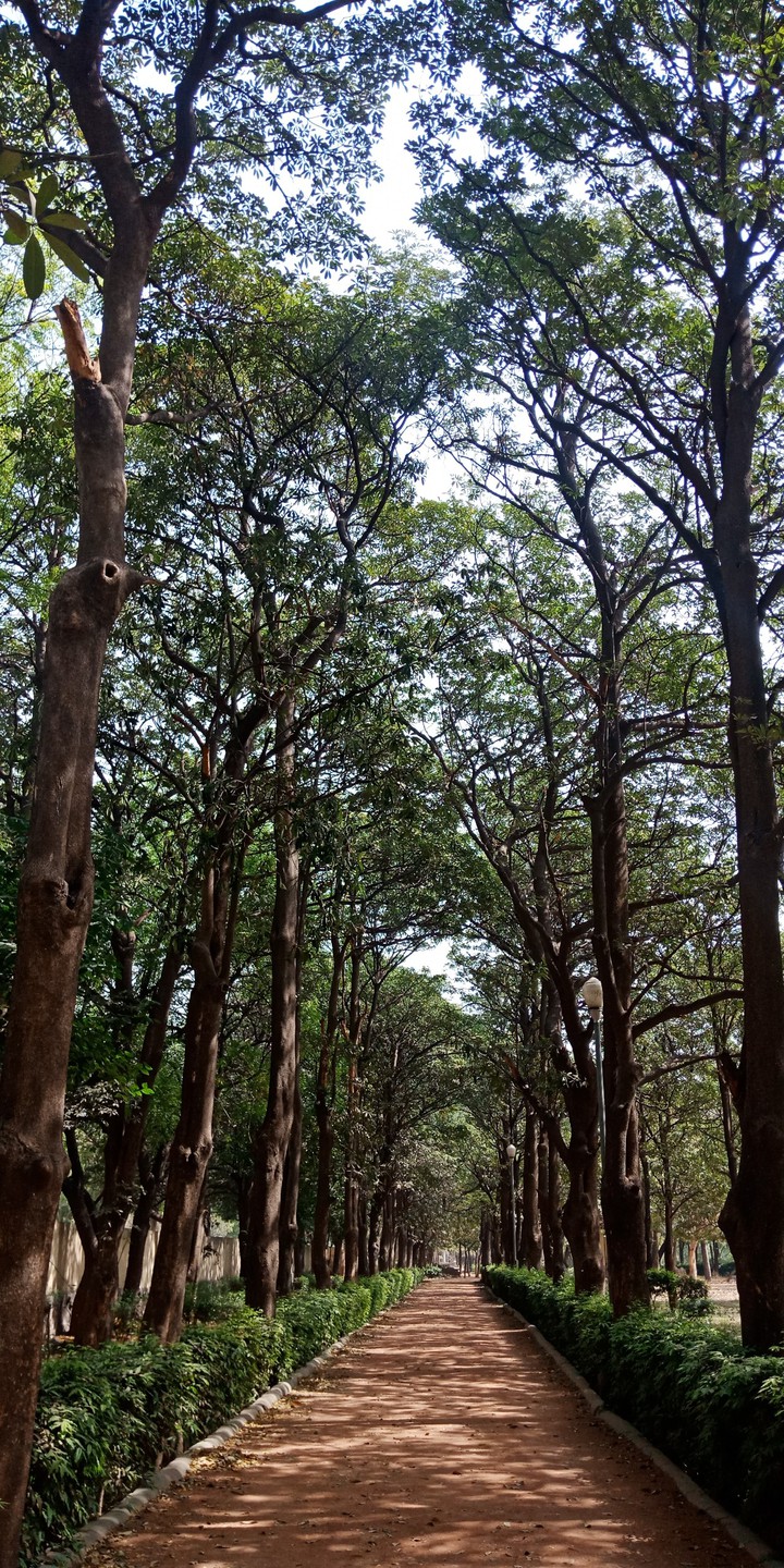 Park