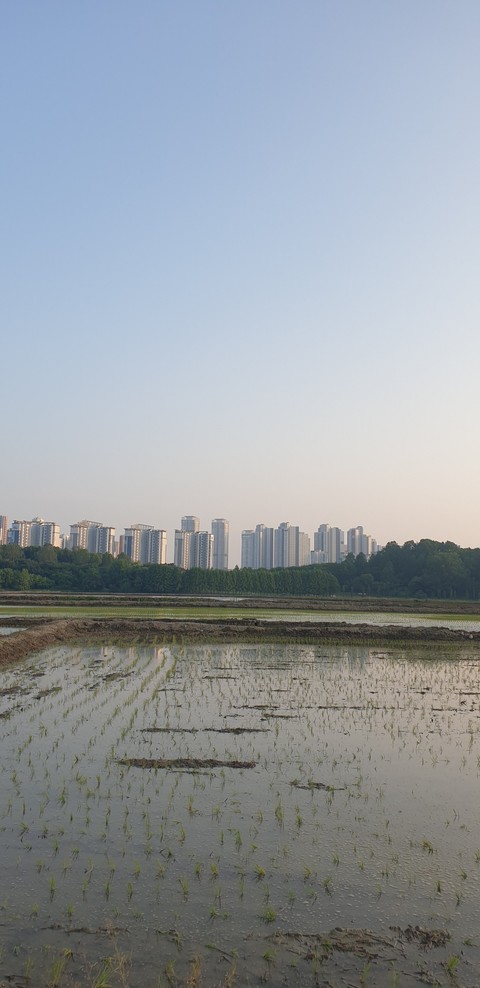 обои lake, Bank