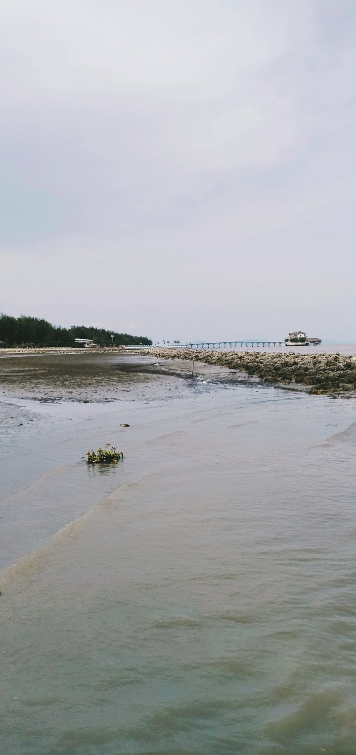 Biển