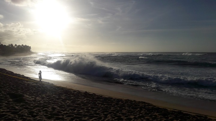 Hawaii sunset beach