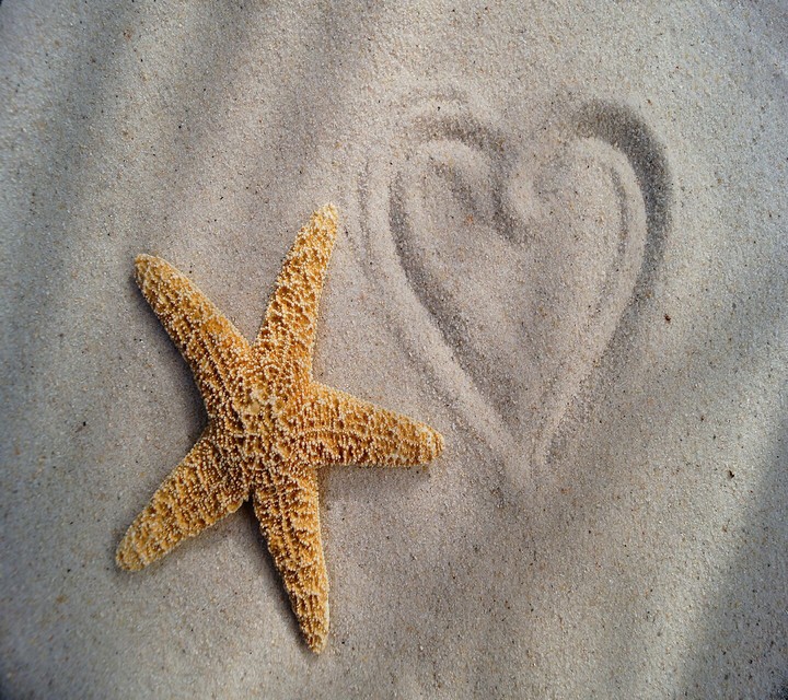 summer