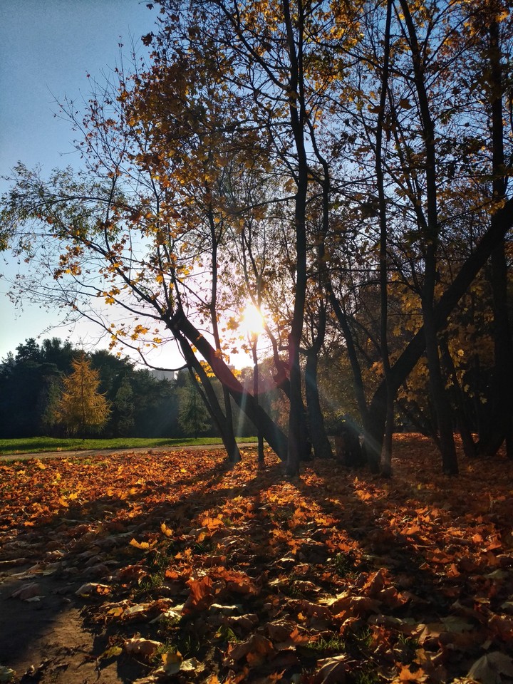 Warm October