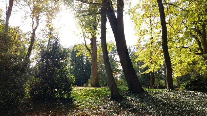 Sunny Days