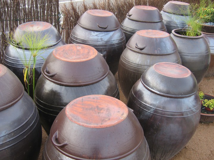 Traditional Culture