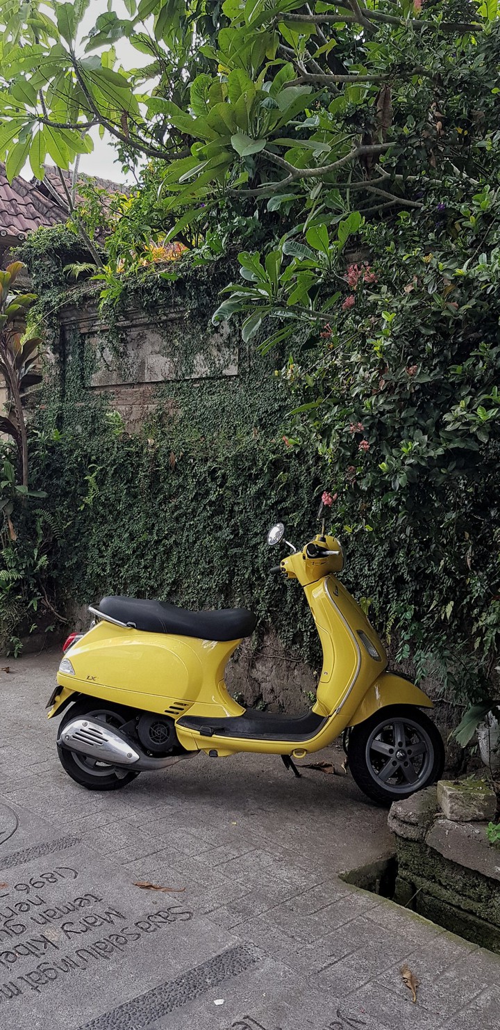 memory of Bali