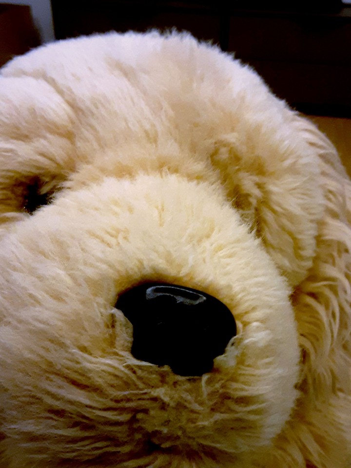 My Dog Doll