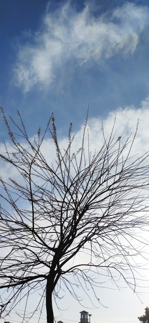 구름, 하늘 배경화면