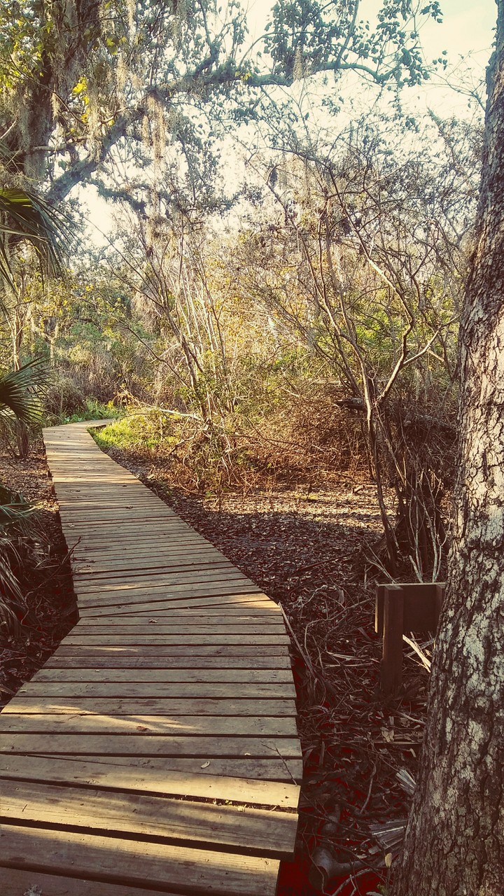 Broad Creek Boardwalk