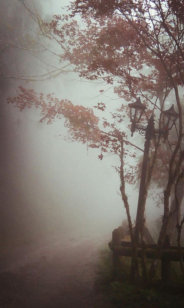 霧