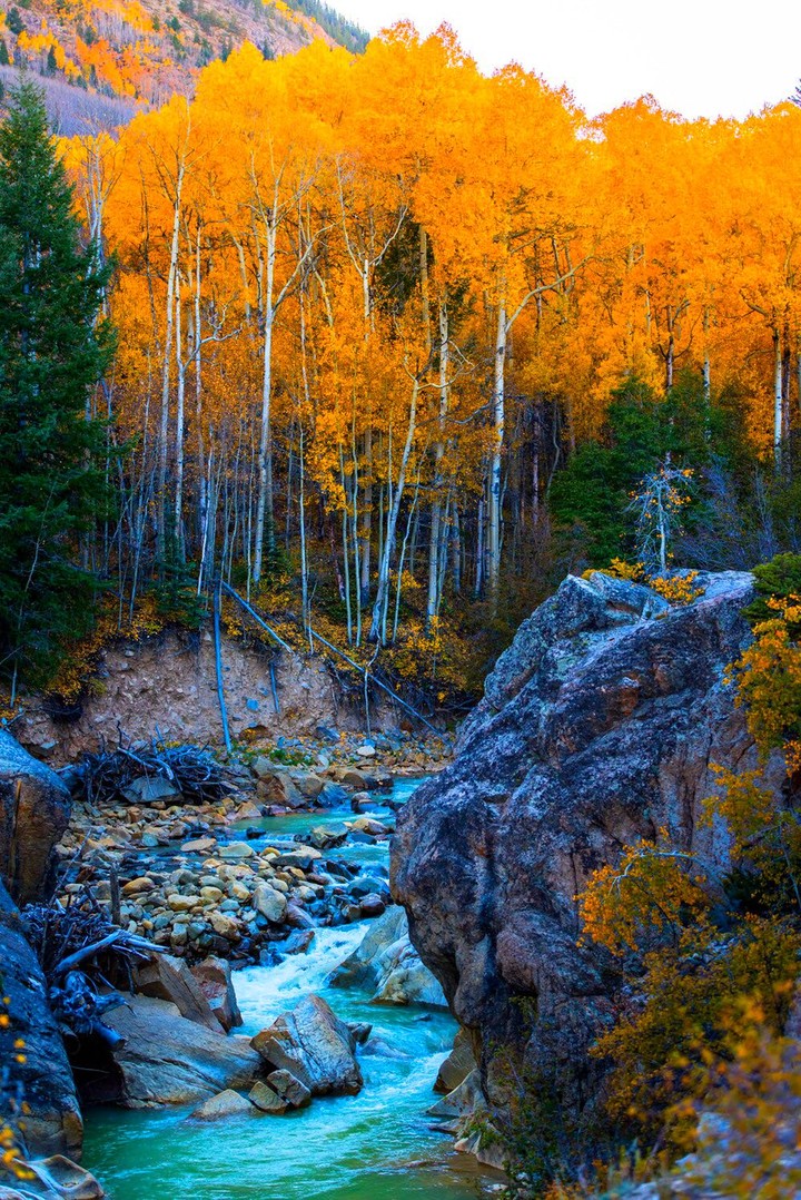 autumn