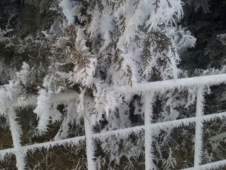 -17celsius