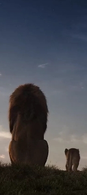 Лев и львёнок.