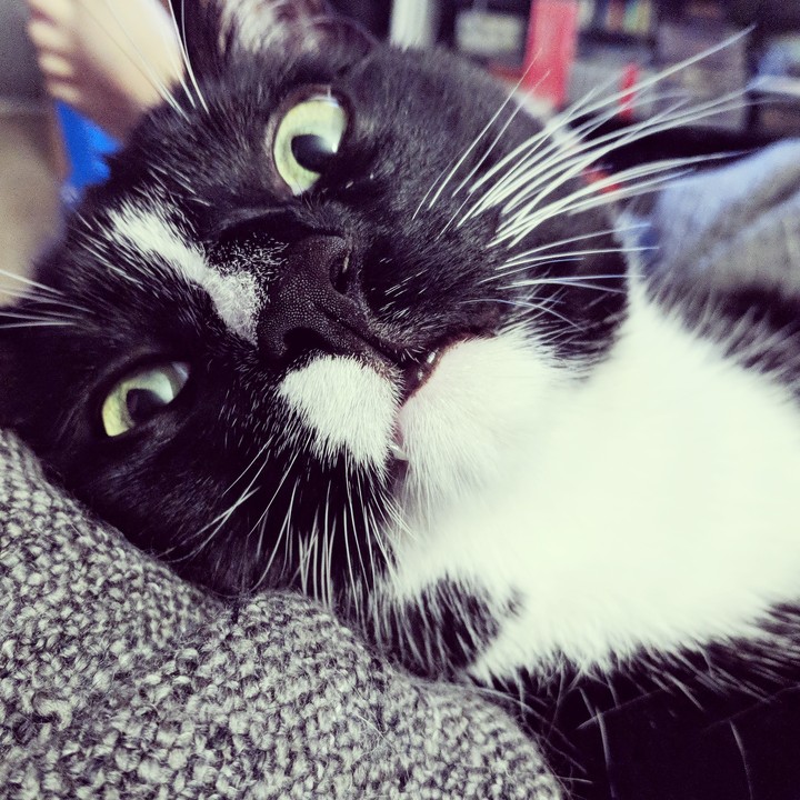 he's bonkers