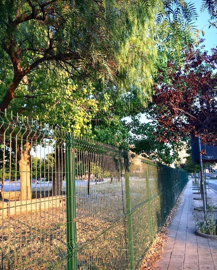 taranto’s garden