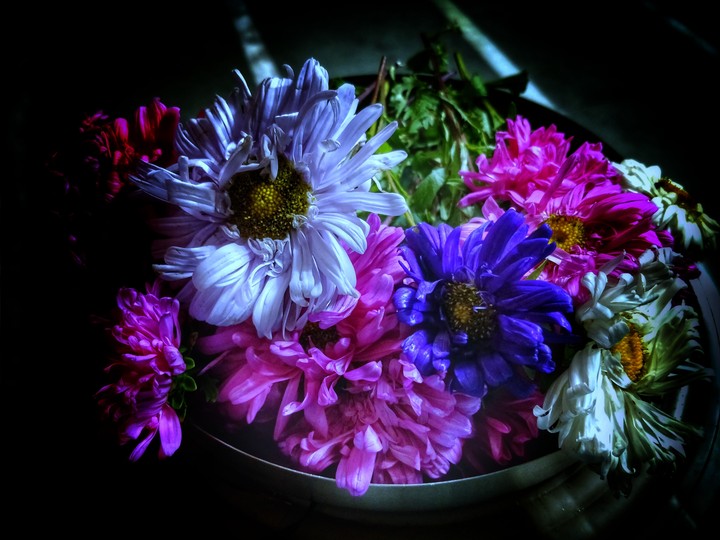 flowers